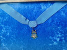 Wigle's Medal Of Honor